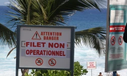panneaux requins baignade interdite 