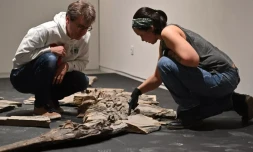  Stéphane Fouché, responsable des collections de paléontologie du musée de Lodève dans l'Hérault, et Camille Auclair, restauratrice et paléontologue pour la société Kraniata, au chevet d’un squelette de crocodile du Jurassique, le 10 octobre 2025 © Sylvain THOMAS / AFP 