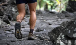 Trail