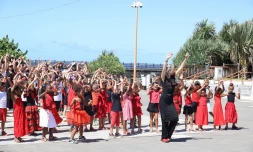 flamenco pour les enfants saint-pierrois 