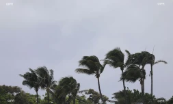 météo réunion 