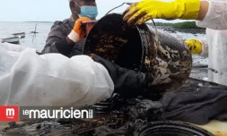 Pollution à Maurice