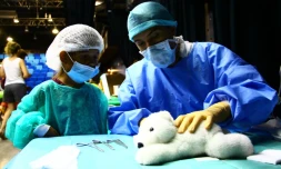 hĂ´pital des nounours