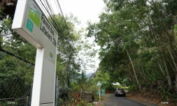 ravine des lataniers