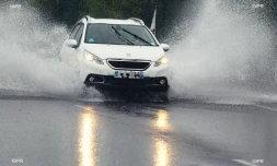 Pluie