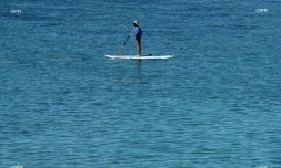 paddle