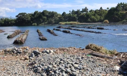 berges de la rivière des roches