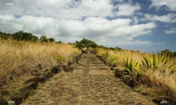 Météo Réunion 