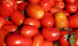 légumes et fruits 
