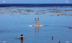 lagon 