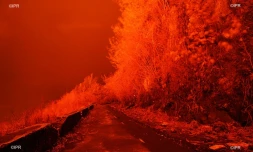 volcan 2007