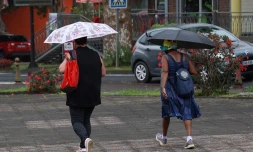 Pluie 