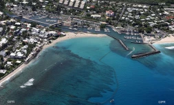 1ère compétition de surf aux Roches Noires 