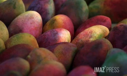 Marché forain en couleur