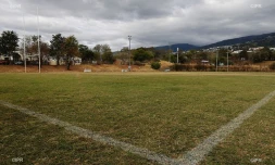 sports coronavirus 