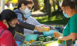 Le Département organise un marché Péi au Jardin de l'Etat