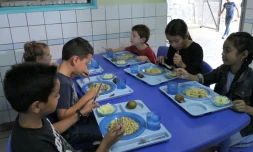 Premier repas végétarien