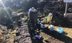 Band Cochon : 62 photos de dépôts sauvages cette semaine 