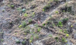 grand raid 2016