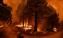 Pratiqués de manière ancestrale par les tribus amérindiennes de la région, ces brûlages sont destinés à éclaircir les sous-bois en consumant broussailles et troncs morts tombés au sol, autant de combustibles qui peuvent attiser l'intensité des feux de forêt