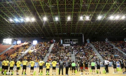 Handball