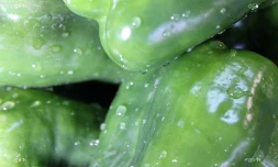 Légumes 