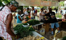 Marchés producteurs 