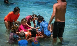 Saint-Paul : une journée dédiée à la préservation du Récif