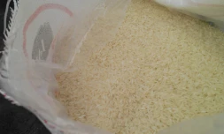 Riz
