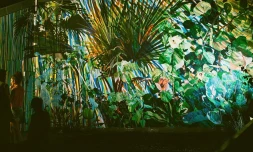 Saint-Paul : le festival Kromali attire près de 35.000 visiteurs