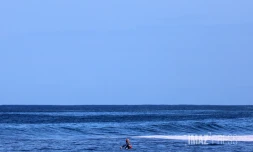 surf et océan 
