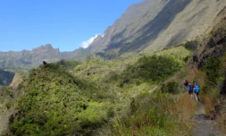 Piton Rouge
