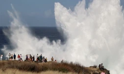 houle en bord de mer avec de grosses vagues