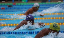 meeting natation 2015