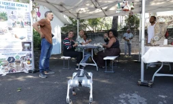 Saint-Pierre : la Fab City cartonne Ă Bois d'Olive