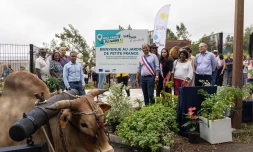 Saint-Paul inaugure le jardin de Petite France, nouveau poumon vert du Guillaume