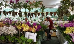 Le retour du Florilèges 2024
