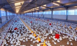 Aides agricoles 