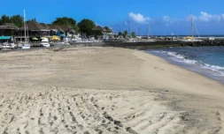 Travaux de dragage plage des Roches Noires 