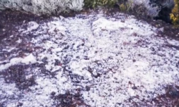 Volcan : le givre s'invite au cratère Commerson