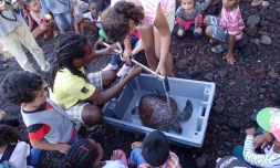 Remise Ă l\'eau de Caplasource