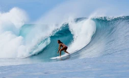 Surf
