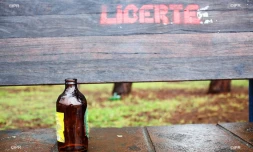 alcool 