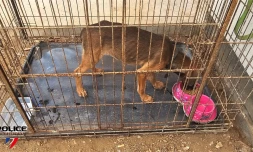 Opération de sauvetage