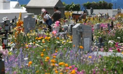 Cimetière