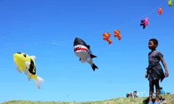 cerfs-volants à saint-pierre 