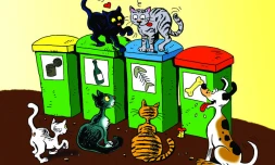 Chiens, chats