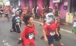 festikal saint-paul