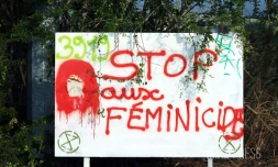 VIF féminicide 