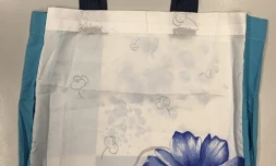 10 août 2018 - Ti Tang récup